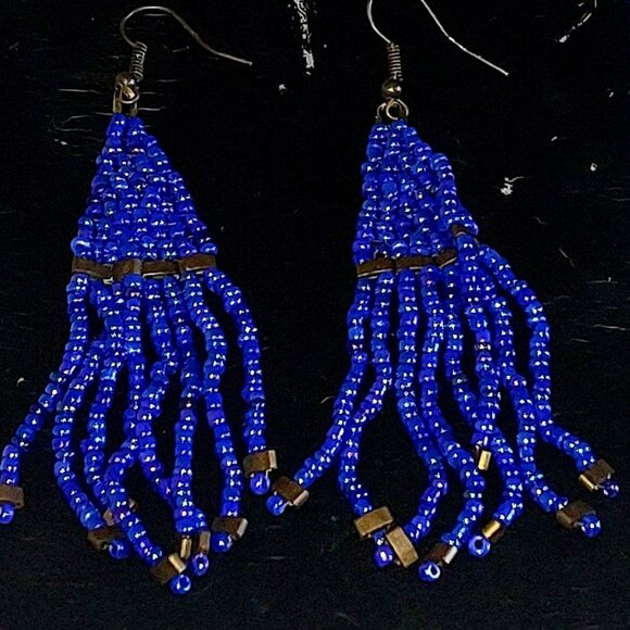 Beaded fringe earrings - Picture 1 of 1